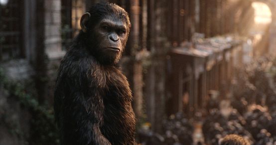 DAWN OF THE PLANET OF THE APES film still