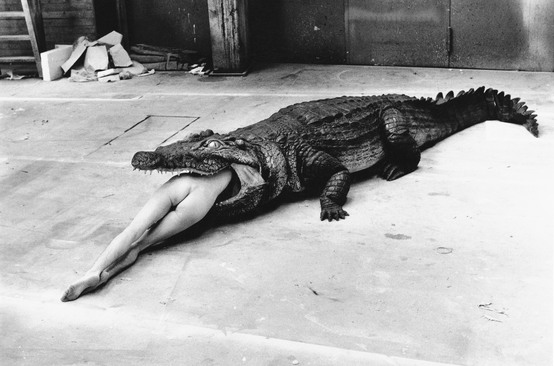 HELMUT NEWTON: THE BAD AND THE BEAUTIFUL film still