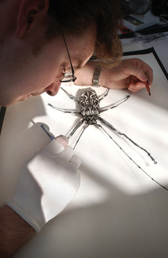 A student drawing an insect